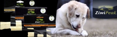 ZIWI Peak Deer Antler Deer Dog Treats - S